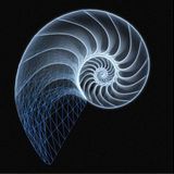 TIMEWAVE______TRA_35