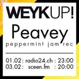 WEYKUP! Radio with Peavey (Peppermint Jam Records)