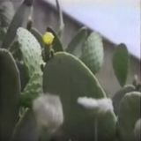 Paul Charpentier - Local Heroes Mix