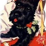 A Soulful Christmas massage! From Jamaican Skankin Grooves to Deep Funk From the Bronx!