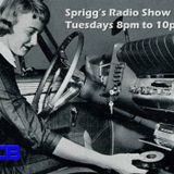 Sprigg's Radio Show 8.09.15
