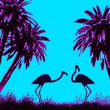 Excellent House Grooves from Ibiza to Miami