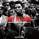 J Rocc Say It Loud James Brown & Friends #2