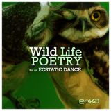 DJ EOKA - Wild life poetry for an ecstatic dance - 2014-08-30