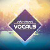mTunnez (DeepHouse Prill 2015)