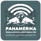 Panamérika No. 336 - La Flor de la Vida