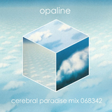 Cerebral Paradise Mix 068342 by Opaline