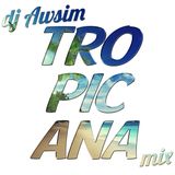 DJ Aws1m - Tropicana