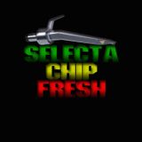 Selecta Chip Fresh presents....CHIPSTRUMENTALS VOL. 1