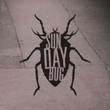 ZIP FM / Sunday Bug / 2015-11-01