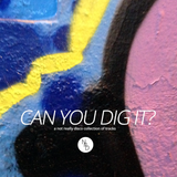 can you dig it? (a not really disco mix from the past)