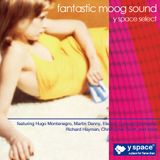 fantastic moog sound -y space select
