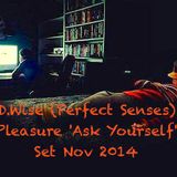 D.Wise (Perfect Senses) Pleasure 'Ask Yourself' Set Nov 2014