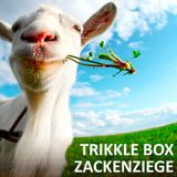 Trikkle Box - Zackenziege