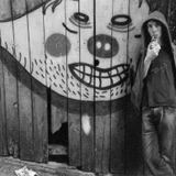 Wixel 09: 12 Records In Twelve Months