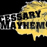 Big Chill Presents Necessary Mayhem 6th Birthday Mix