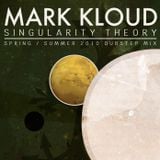 singularity theory