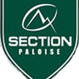 Section Paloise - Massy : Pro D2, 8 Janvier 2015.
