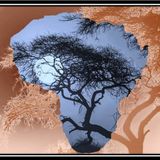 African Safari Vol. 2
