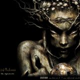 C.J. NOISE - Infected Mushroom mix