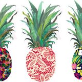 Tropical Beats Carnival warm up and Colombia Special Feb 2015