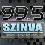 PrimePulse - Live @ Szinva Radio (Miskolc,HUN) "minimix" 2014.04.27.