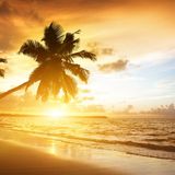 Deep & Underground House Music - The Unknown Paradise (80 Minutes Mix)
