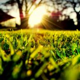 Der Schue und der Frühling! Eine lineare Ansicht / Mai 2013
