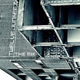 TWELVE JUNKEEZ / D.I.C.E IN THE MIX