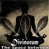Divinorum - The space between