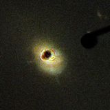 C20H25N3O-2: Quasar 3C-273