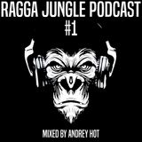 Ragga Jungle Podcast #1 mixed by Andrey HoT