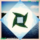 wonderful life