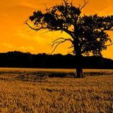 BST House Set///Deep House