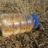 Ancient Tribal Mayonnaise Podcast #3