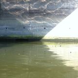 WATERSCHADE
