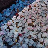 Piano Mix Spring 2012.2