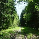 Klein Wien Waldfest 1/4 mixed by Chano Macondiano & Peet Doice Sommer 2015