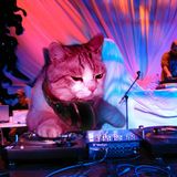 DJ kRi Electro-House Mixtape Vol2