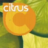 Early days of LUXY: XUAN's Citrus Mix