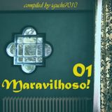Maravilhoso! 01