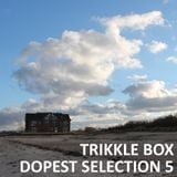 Trikkle Box - Dopest Selection 5