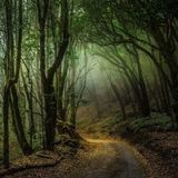 Wandering Mind - Night Spirits