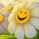 HAPPY LIFE