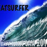 TECKY JAN MIX 2015