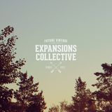 Expansions Radio - Show 13 (new music from The Stuyvesants, Youtaro, Handbook, Sweater Beats..)