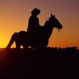 Bluegrass & Country