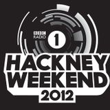 Annie Mac - Live @ Hackney Marshes, UK - 23.06.2012