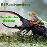 DJ Rambunctious - Somethin for Spring
