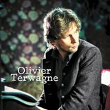 Influences litigieuses d'Olivier Terwagne